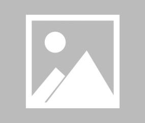 爱游戏体育- scout集锦 